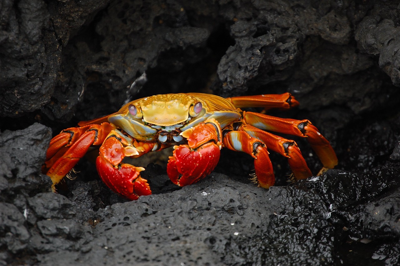 Exploring the Secret Corners of Canada’s Yukon Territory